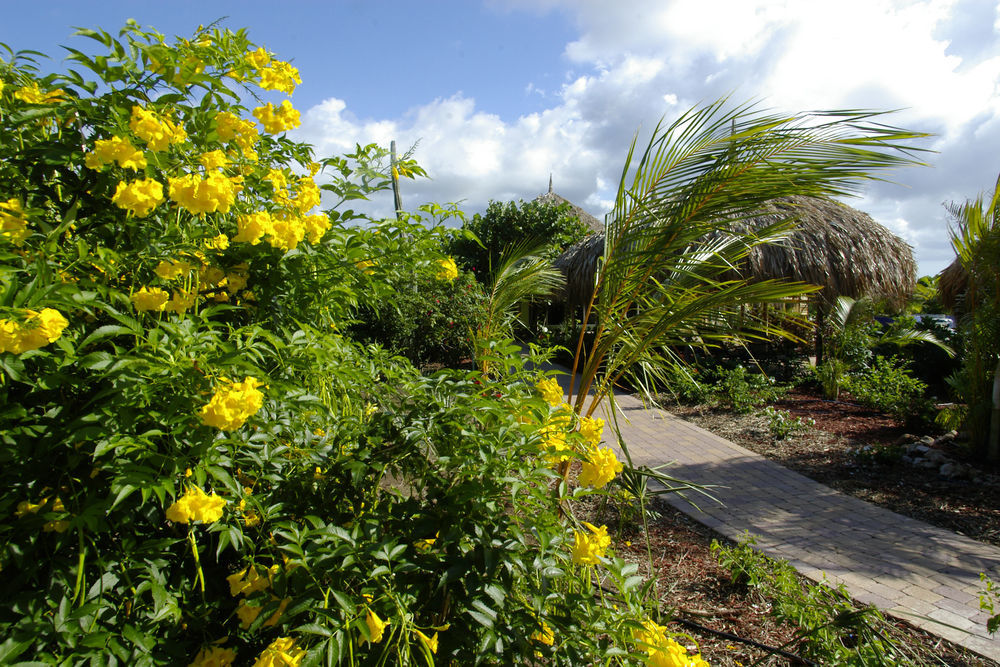 Kura Hulanda Lodge & Beach Club Westpunt Extérieur photo